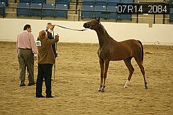 07R14_2084 thumbnail