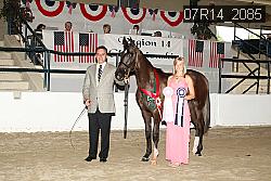 07R14_2085 thumbnail