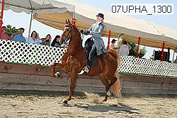 07upha_1300 thumbnail