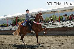 07upha_1314 thumbnail