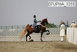 07upha_1315 thumbnail