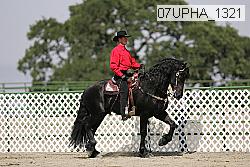07upha_1321 thumbnail