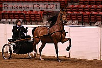 buckeye_08_0021 thumbnail