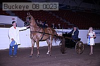 buckeye_08_0023 thumbnail