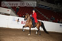 buckeye_08_0070 thumbnail