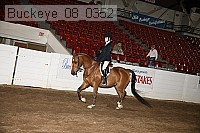 buckeye_08_0352 thumbnail
