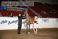 buckeye_08_0422 thumbnail