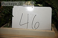 buckeye_08_0747 thumbnail