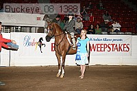 buckeye_08_1388 thumbnail