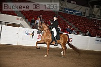 buckeye_08_1393 thumbnail