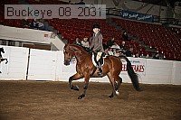 buckeye_08_2031 thumbnail