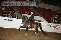 buckeye_08_2181 thumbnail