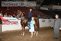 buckeye_08_2223 thumbnail