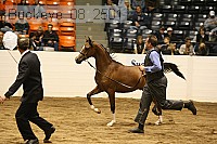 buckeye_08_2501 thumbnail