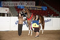 buckeye_08_2690 thumbnail