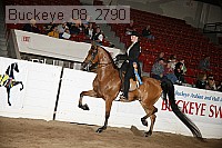 buckeye_08_2790 thumbnail