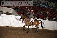 buckeye_08_2843 thumbnail