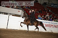 buckeye_08_3254 thumbnail