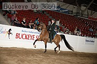 buckeye_08_3660 thumbnail