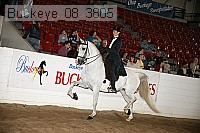 buckeye_08_3805 thumbnail