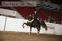 buckeye_08_3848 thumbnail