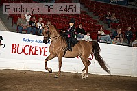 buckeye_08_4451 thumbnail