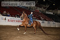 buckeye_08_4463 thumbnail