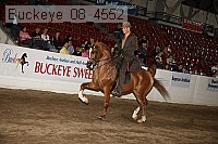buckeye_08_4552 thumbnail