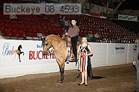 buckeye_08_4593 thumbnail