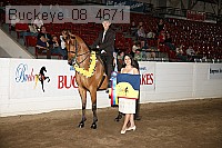 buckeye_08_4671 thumbnail