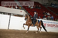 buckeye_08_4751 thumbnail