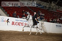 buckeye_08_4752 thumbnail