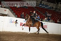 buckeye_08_4753 thumbnail