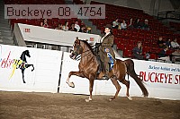 buckeye_08_4754 thumbnail