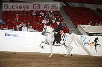 buckeye_08_4756 thumbnail