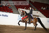buckeye_08_4757 thumbnail
