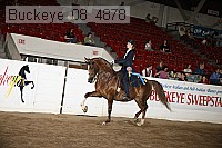 buckeye_08_4878 thumbnail