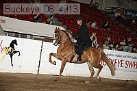 buckeye_08_4913 thumbnail