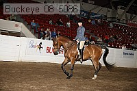 buckeye_08_5086 thumbnail