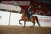 buckeye_08_5136 thumbnail