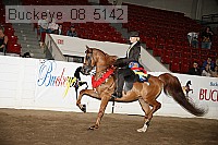 buckeye_08_5142 thumbnail