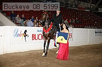 buckeye_08_5199 thumbnail