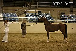 08RC_0422 thumbnail