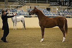 08RC_1145 thumbnail