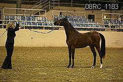 08RC_1183 thumbnail