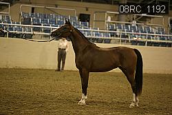 08RC_1192 thumbnail