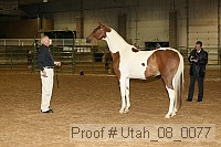 utah_08_0077 thumbnail