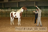 utah_08_0080 thumbnail
