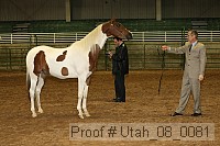utah_08_0081 thumbnail