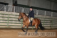 utah_08_0117 thumbnail